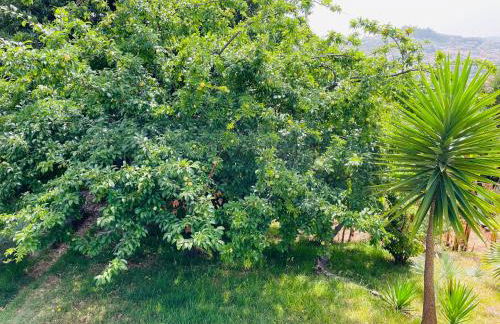 The Farm House.23 - Foto 38