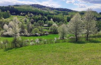 Dębowy Zakątek - Foto 26