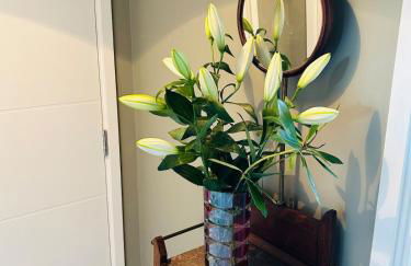 Cosy flat in New Malden, London - Foto 20