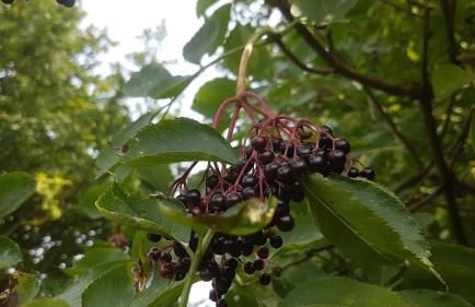 in die Ferien mit 16 Freunden - Foto 70