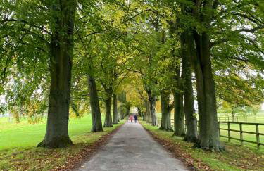 Cotswold Luxury Coach House - ideal for couples, w/ EV charging - Foto 32