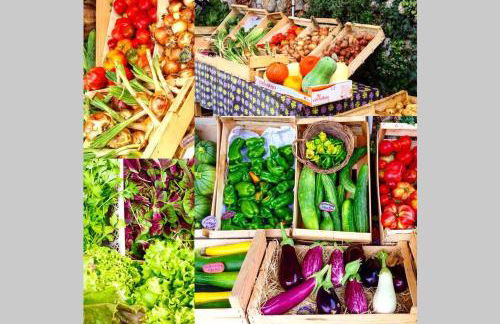 Le Gîte - La Ferme du Pouget - Foto 19