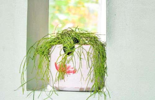 Wohnung nahe Ostsee Graal Müritz - Photo 39