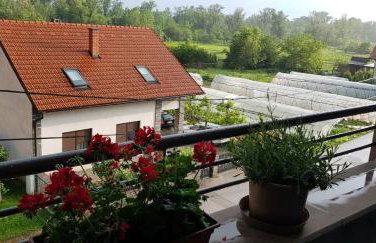 Apartman ARINA - Foto 33