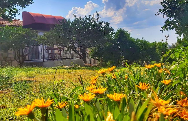 Satsuma Butik Otel - Foto 14