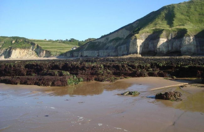 Charming Coastal Hideaway - Foto 23