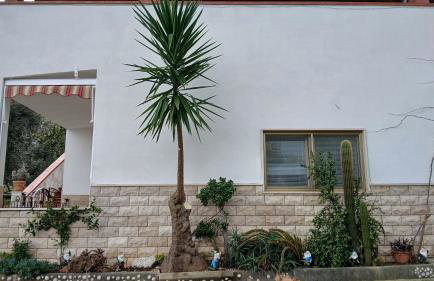 La Casa Del Nonno - Foto 2