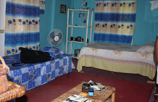 Nature in portland - Foto 4