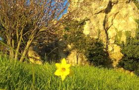 Fra Bosco e Cielo B&B - Foto 37