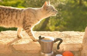 Trullo Natù - private villa - Foto 8