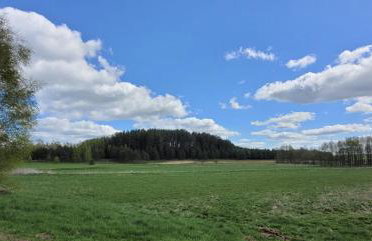 Siedlisko Przy Lesie Alpaka 3 - Foto 25