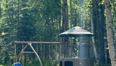 Ma-Su Thunder Cabin #1 - Photo 5