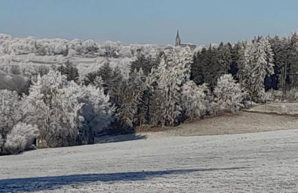 Alt Monjoie - Foto 31