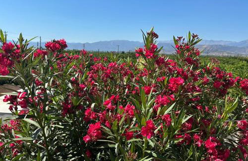 Lidas Golden View-All around veranda apartment - Photo 13
