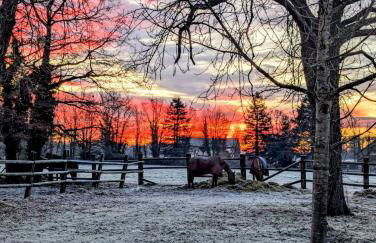 Gite de la Chapelle - Circuit des 24 heures - ARNAGE - 10 personnes - Photo 6