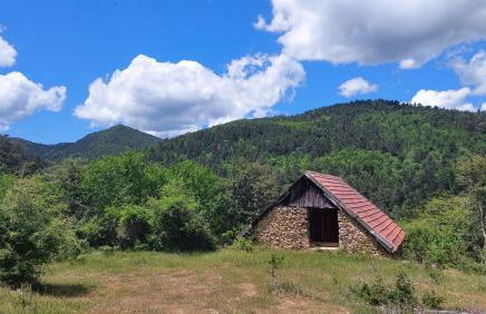 AlaiSuberri - Foto 5