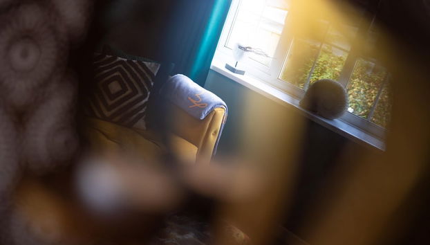 Harley s Way - Short Walk to Beach and Village - Foto 5, Habitación