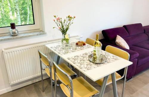 Apartament pod Świerkami - Foto 12