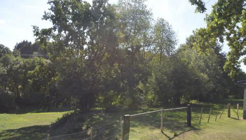 Alte Schule 1 - Foto 4