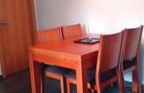 Piso Encanto Palmeiro - Foto 15