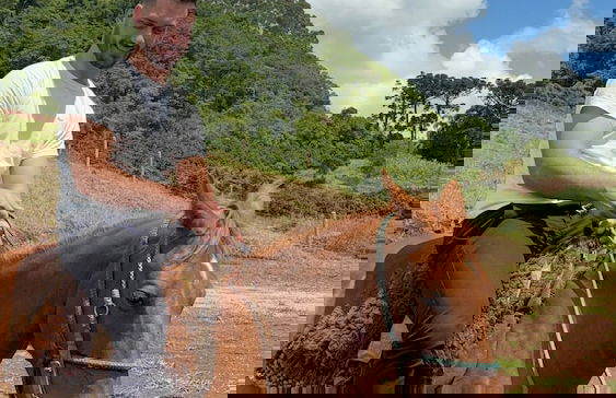 Pousada Vila Felicita - Foto 38