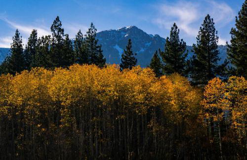 Prima Del Norte - Hot Tub, Pool Table, Arcade Game! - Foto 73