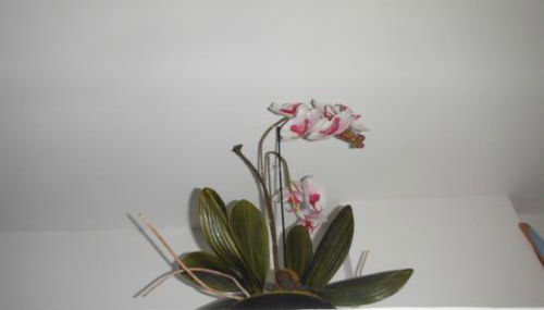 Appartement Le Romarin - Foto 5