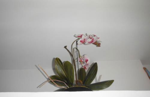 Appartement Le Romarin - Foto 5