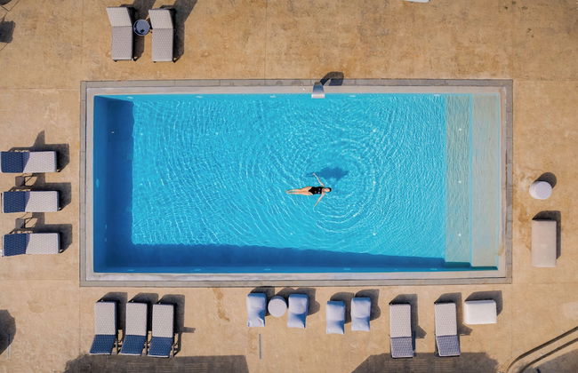 Phaos at Cellaria Estate - Photo 70