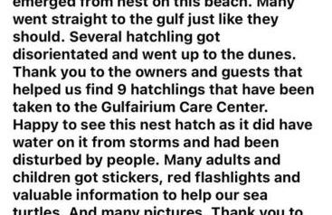 Holiday Surf and Racquet Unit 612 - Foto 21