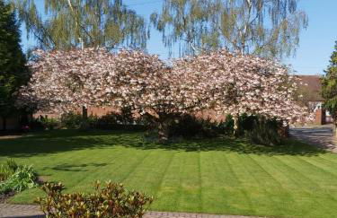 Oaktree Lodge - Foto 18