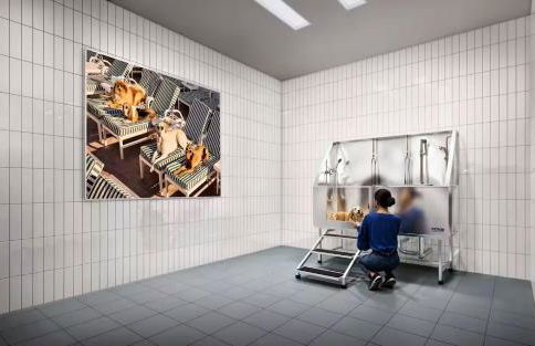 Luxury Apartments by Hyatus at Boston Cambridge - Foto 43