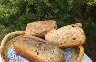 Farmstay Marianówka u Tesi - Foto 14