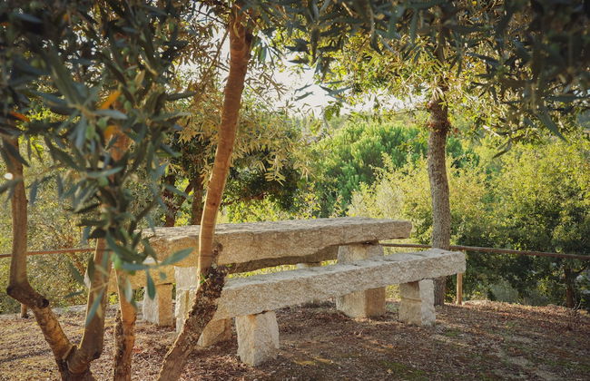 I Love Dão - Casas Da Fraga - Photo 42