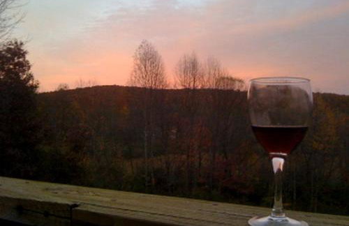 Cabin Rental with Hot Tub in the New River Gorge Region of West Virginia - Foto 10