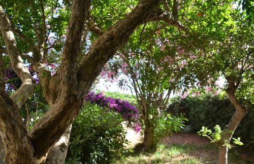 FANTASTIC SARDINIA VILLETTE CON GIARDINO Fronte Mare Fertilia FAHO-GAV01-GAV02 - Foto 36