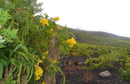 Casa Carolina 2 - Foto 15