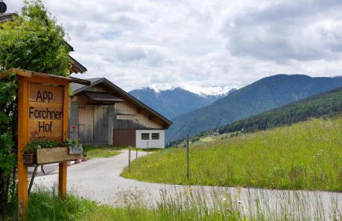 Forchnerhof Apt Ploseblick - Foto 30