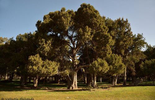 El nido del Mirlo - Foto 51