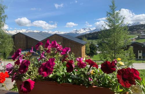 APPARTEMENT VUE SUR LES PISTES Aux SAISIES 4 - Foto 6