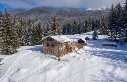 Chalet Le Plaigny - golf de Méribel - Foto 2