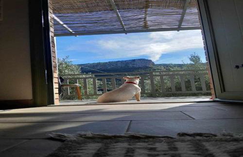 Elaia Rest House Retreat in nature - Foto 27