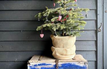 Sissinghurst Stables A comfortable country home in the Garden of England and just one hour from London - Foto 41