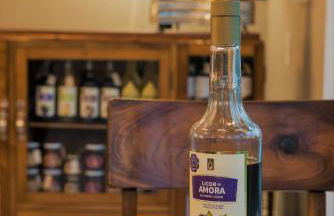 Herdade do Ananás - Photo 47