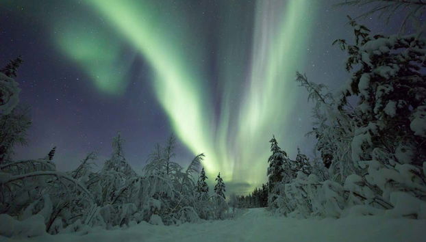Tour dell'aurora boreale a Kiruna - Foto 2