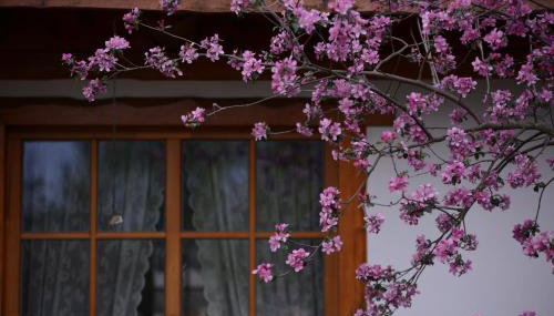 Białowieski Dworek do 10 Gości - Foto 3