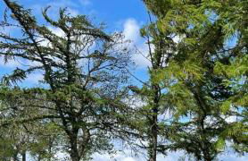 Strandbude I - Foto 17