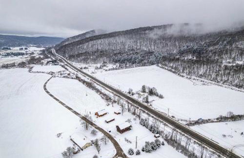 Family-Friendly 3BR Near Ellicottville - Foto 38