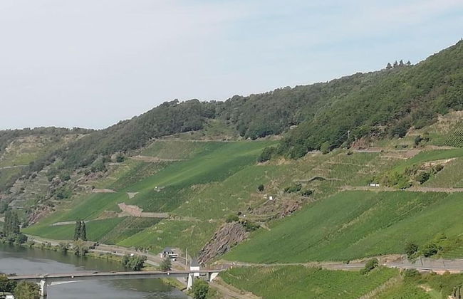 Modern Holiday Apartment With Large Garden Near the River Moselle - Photo 39