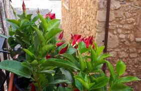 Modern Apartment near Arce City Centre, 62 m², Parking - Foto 14